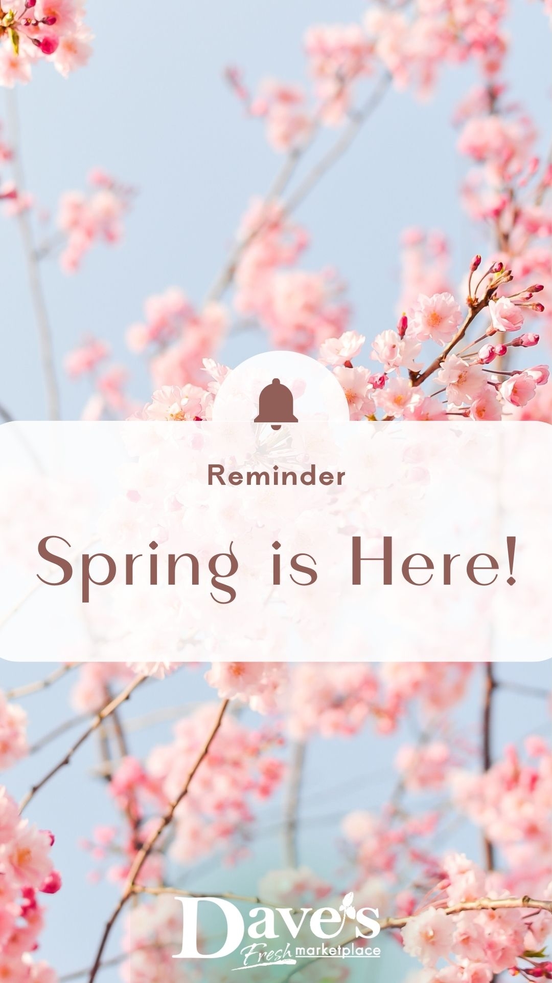 Spring is Here!